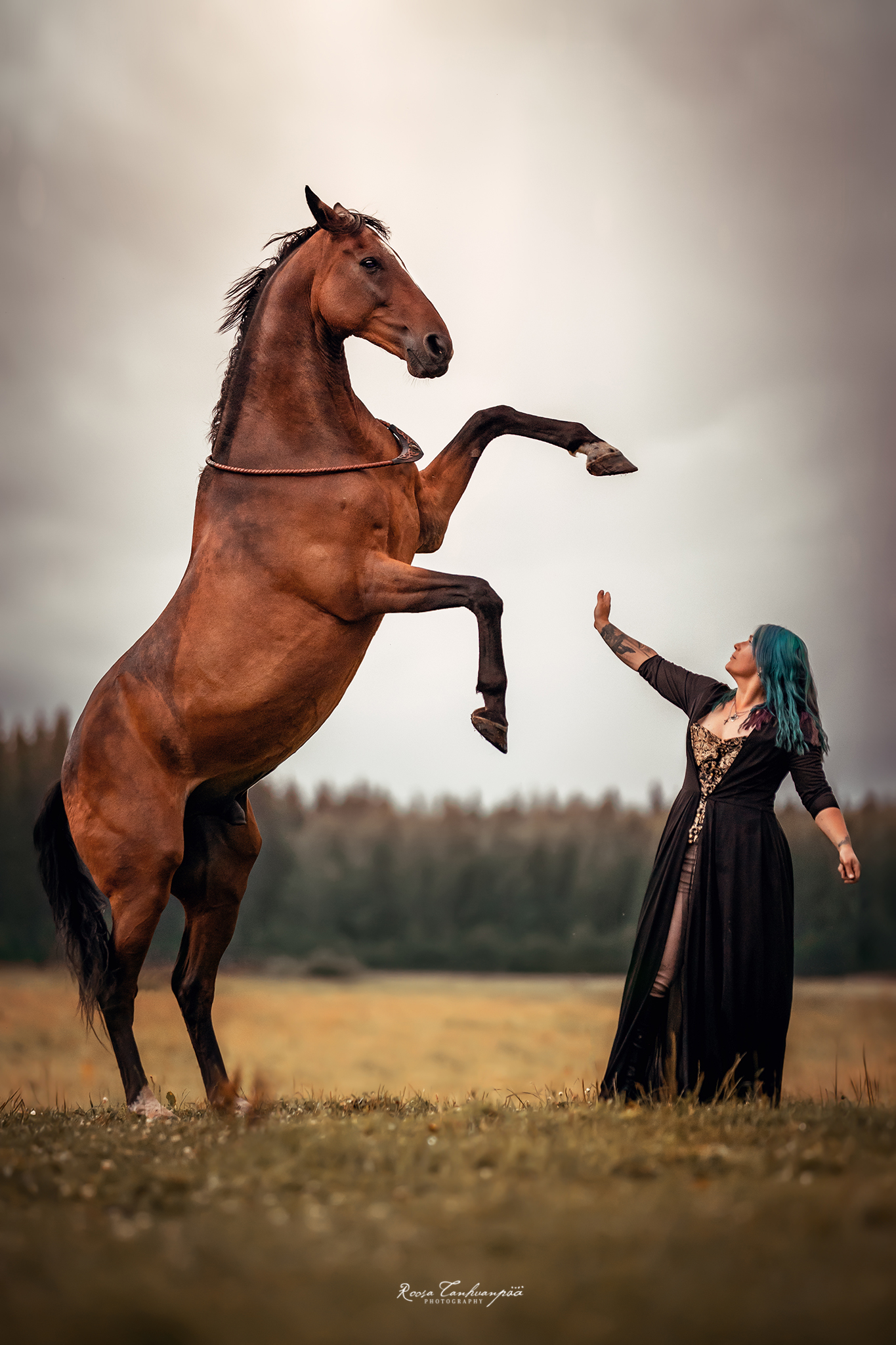 8k0a3393 edit copy (1)