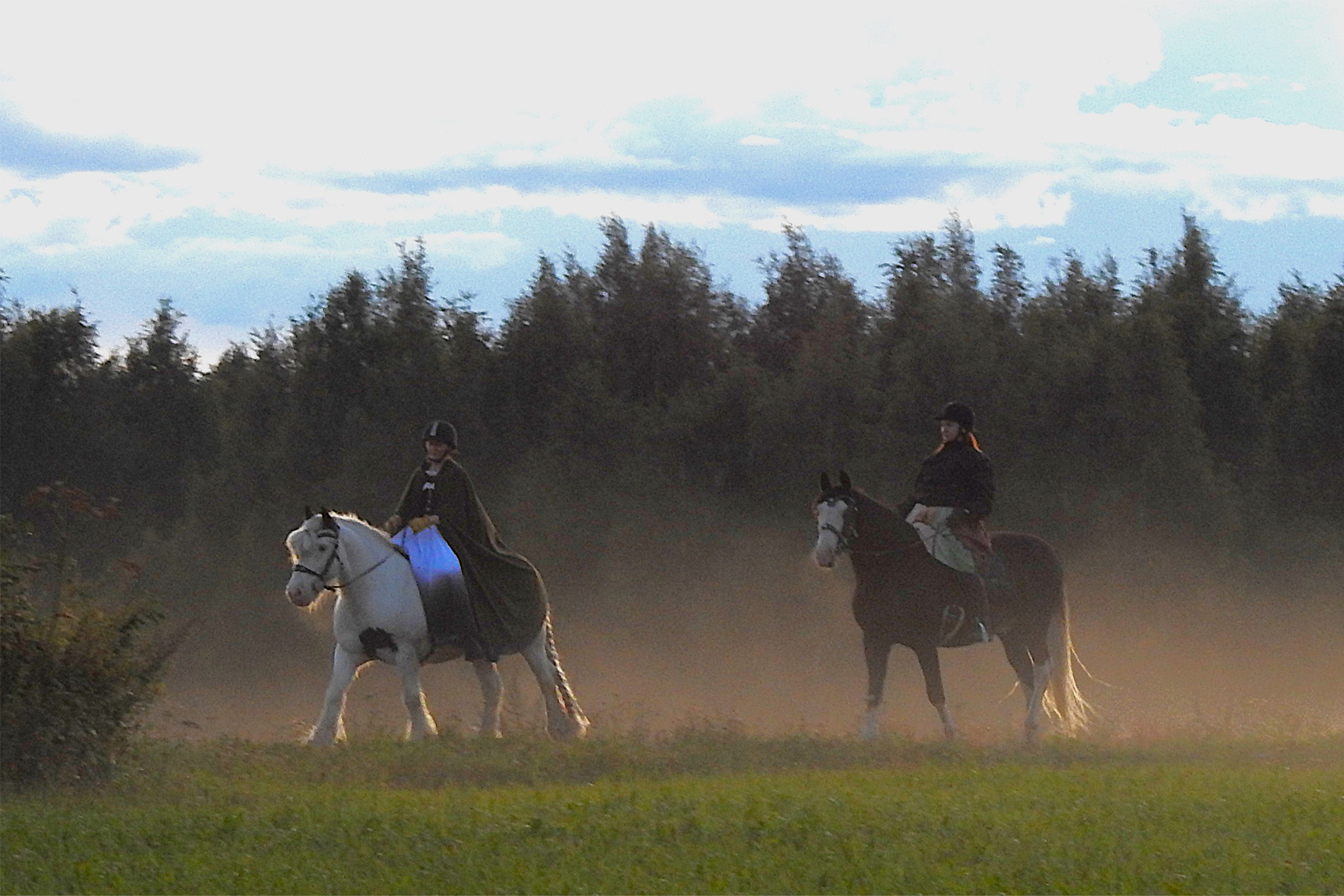 aikuisten hevoseleiri