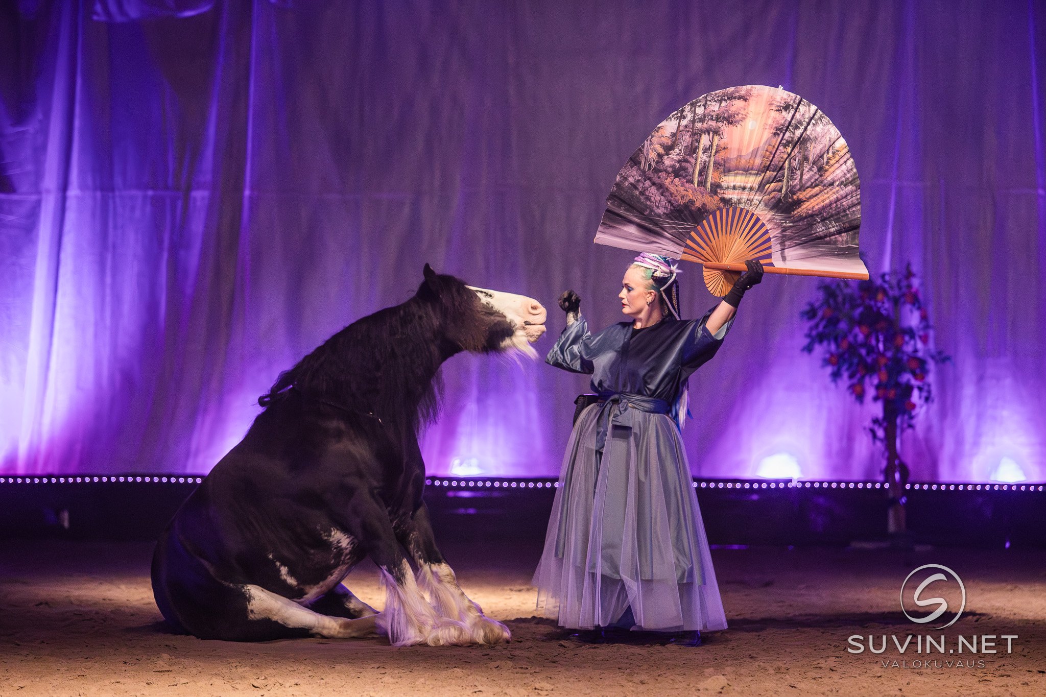 img 1524 enhanced nr