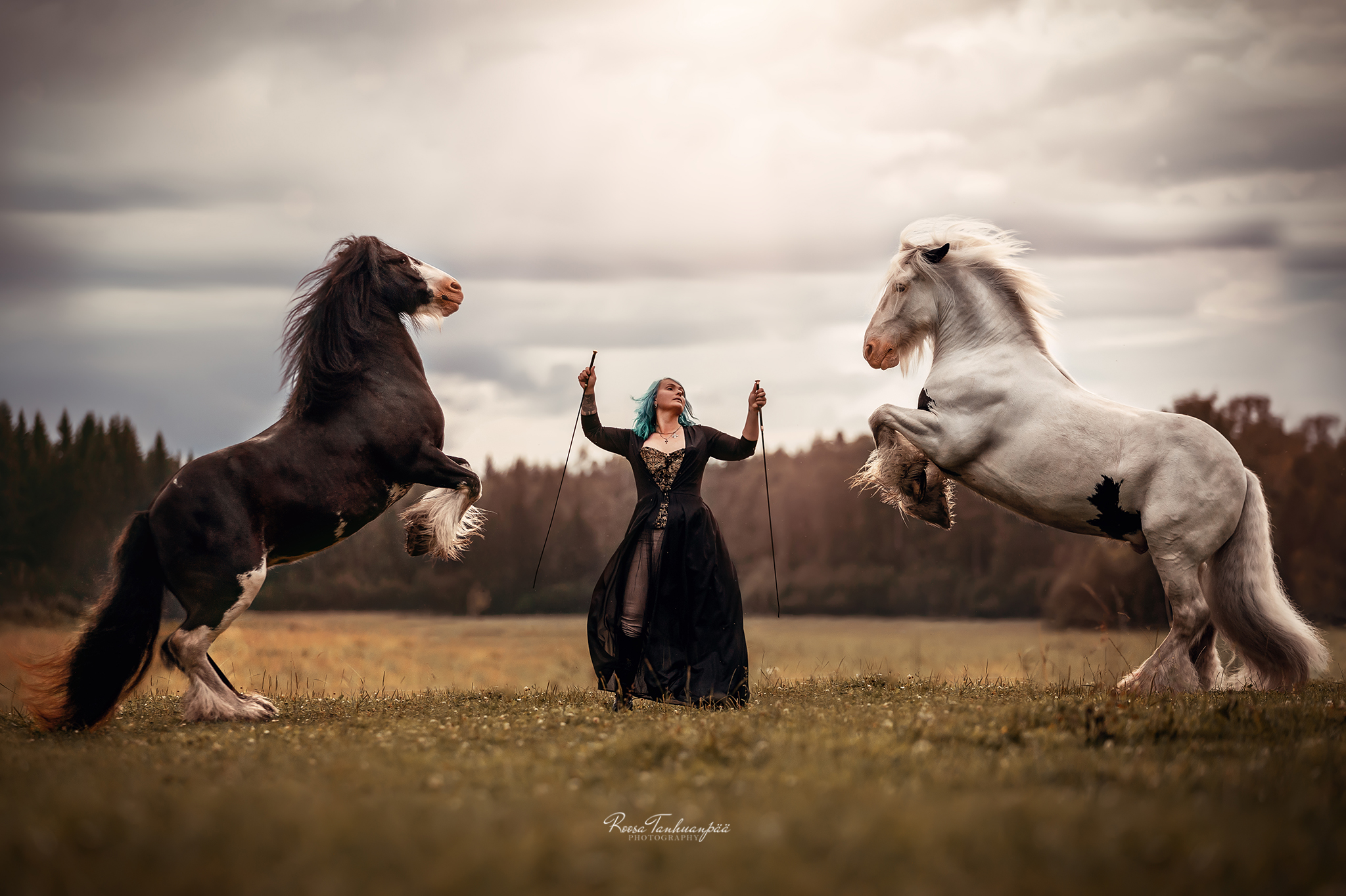 pieni 8k0a2686 edit copy 2