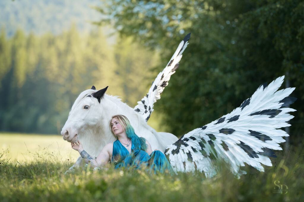 DSC 6264 Web1 1 1024x683